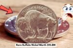 Jaw-Dropping $15.8M Buffalo Nickel